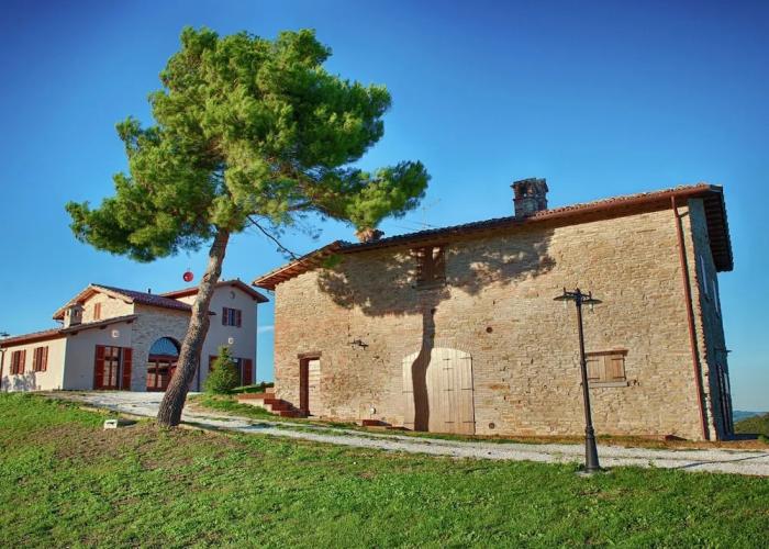Apartment in a Farmhouse With Swimming Pool