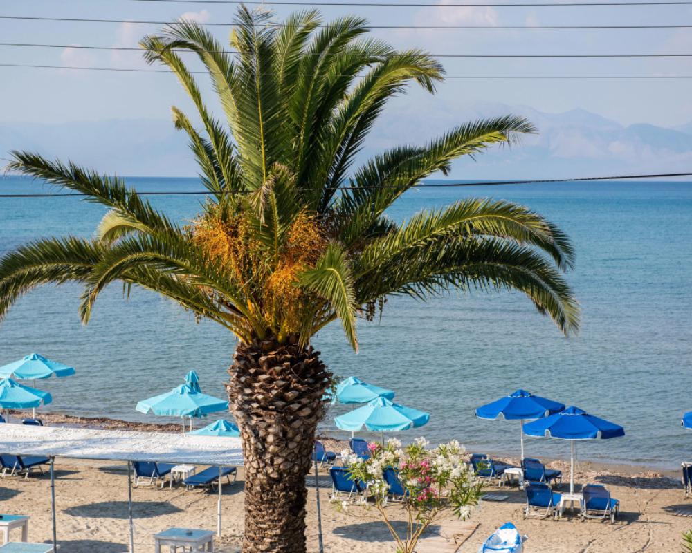 фото Aphrodite Beachfront Roda