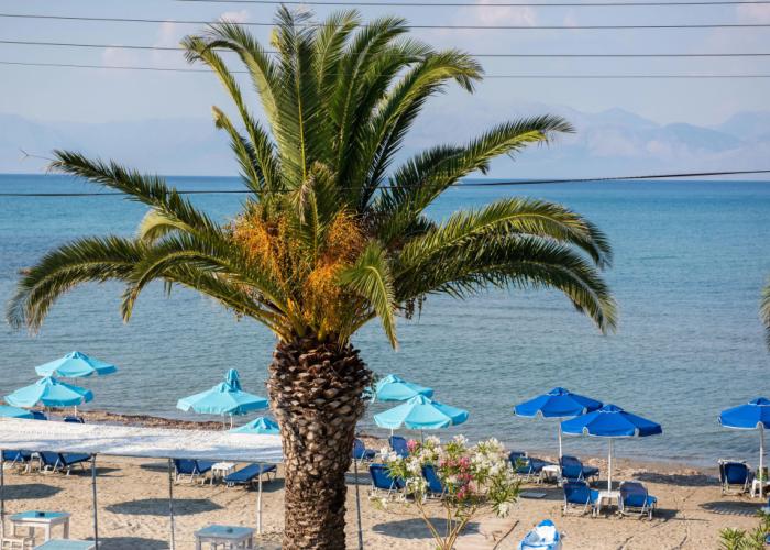 Aphrodite Beachfront Roda