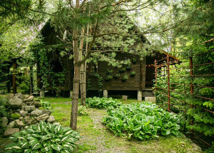 Lake House nomer studiya Guest house