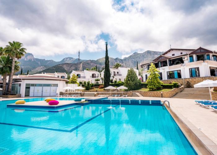 The Olive Tree Hotel