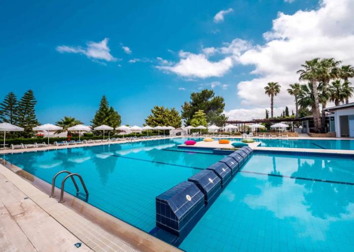 The Olive Tree Hotel