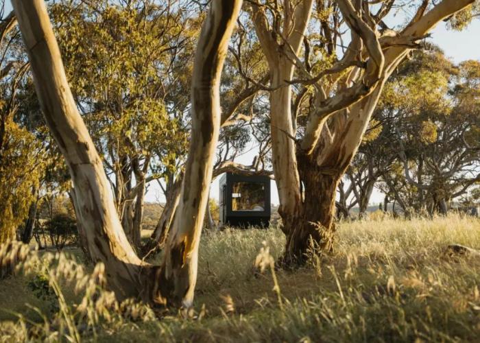 CABN Clare Valley