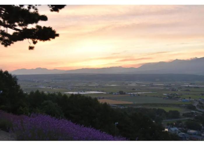 hotel hanafuji inn
