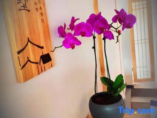 Yinshu Homestay