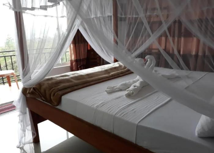 Lilly Guest Inn