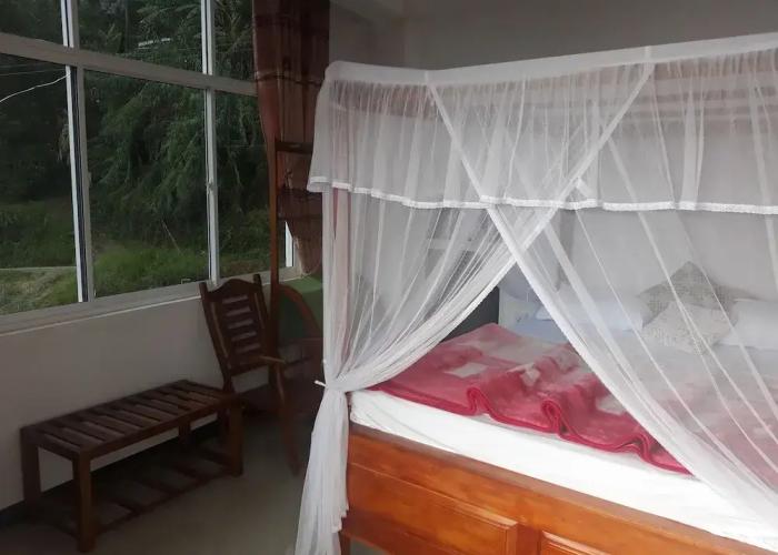 Lilly Guest Inn