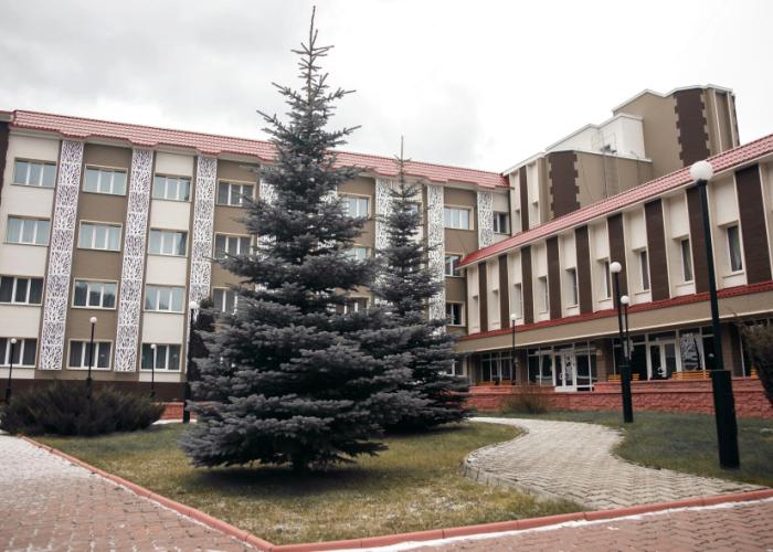 Hotel Borus