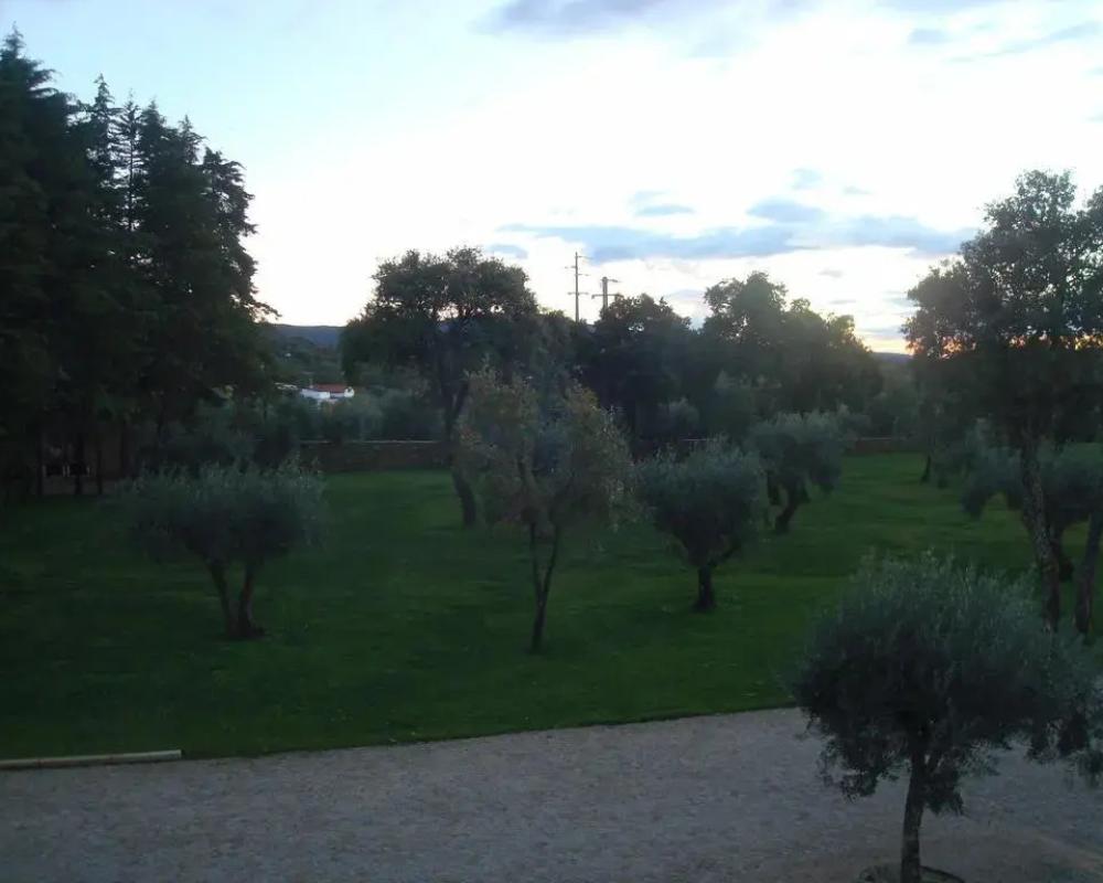 Palace Hotel & Spa Termas de S. Tiago