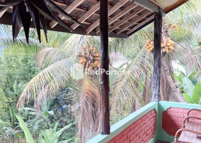 Taman Ayu Homestay Munduk RedPartner