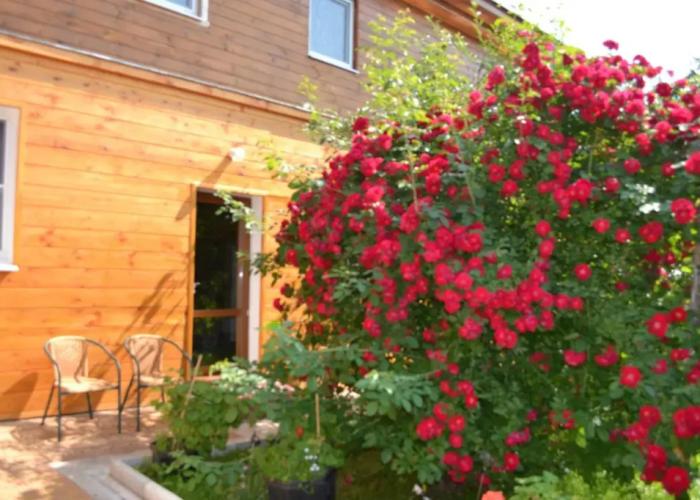 Podvore Yamschika Guest House