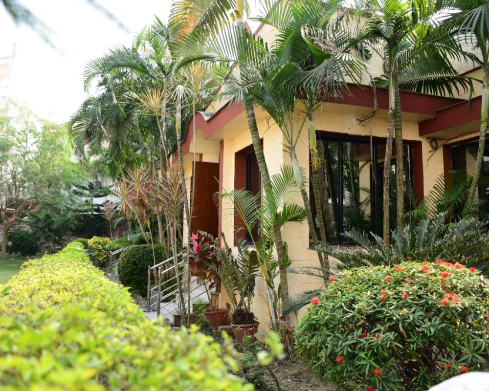 фото Hotel Dolphin