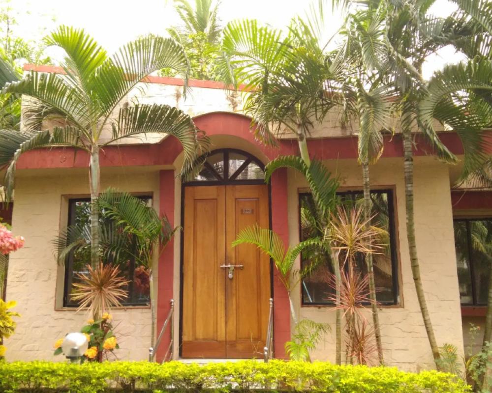 фото Hotel Dolphin