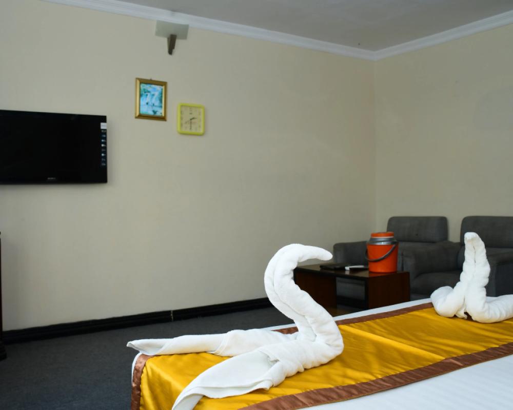 фото Hotel Dolphin