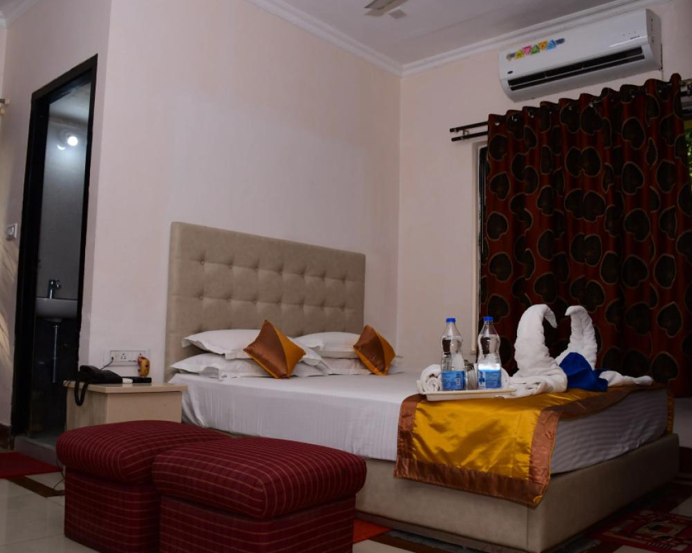 фото Hotel Dolphin