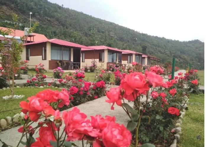 Buransh Heli Resort