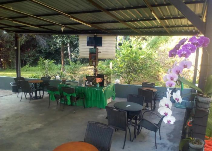 Green Peace Sungai Lembing