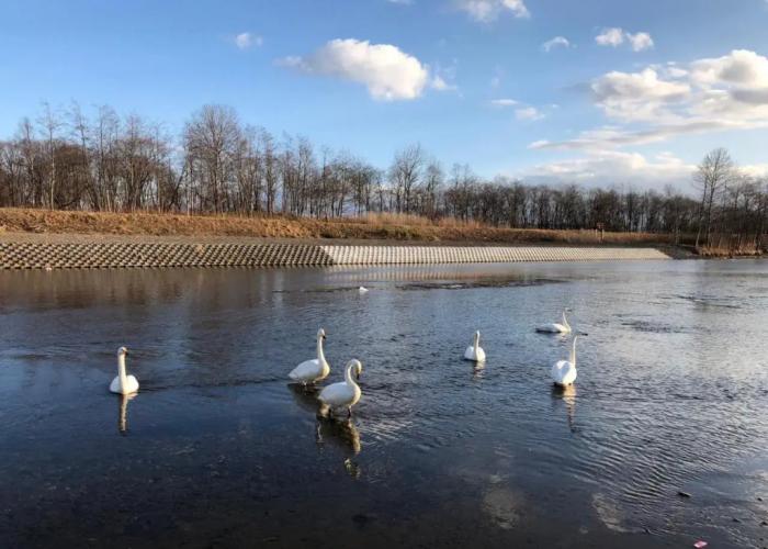 Tomy's Log House - Need Car