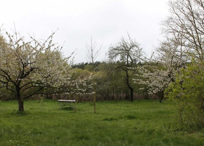 Attraktive Wohnung Landlust in Neuburg