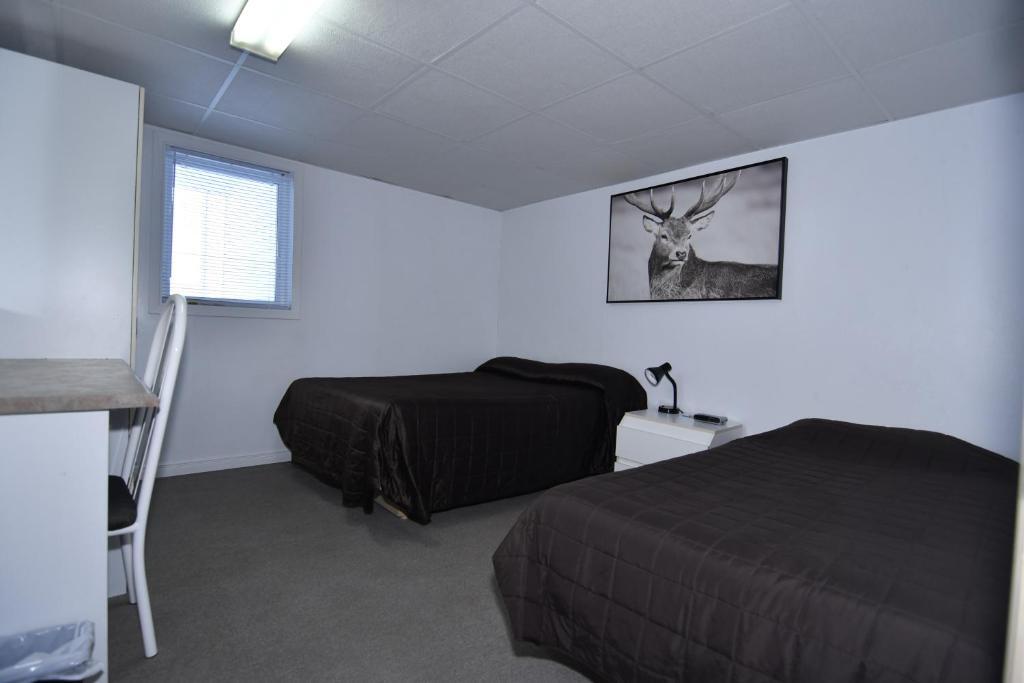 Les studios de la mer