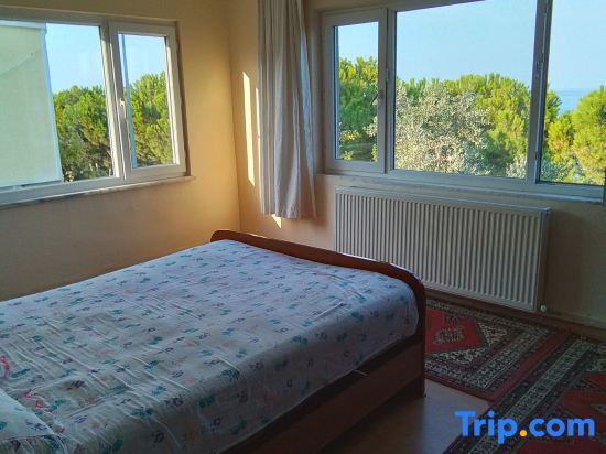 Seaside mansion with detached garden