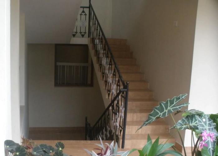 Jungle Palace Homestay