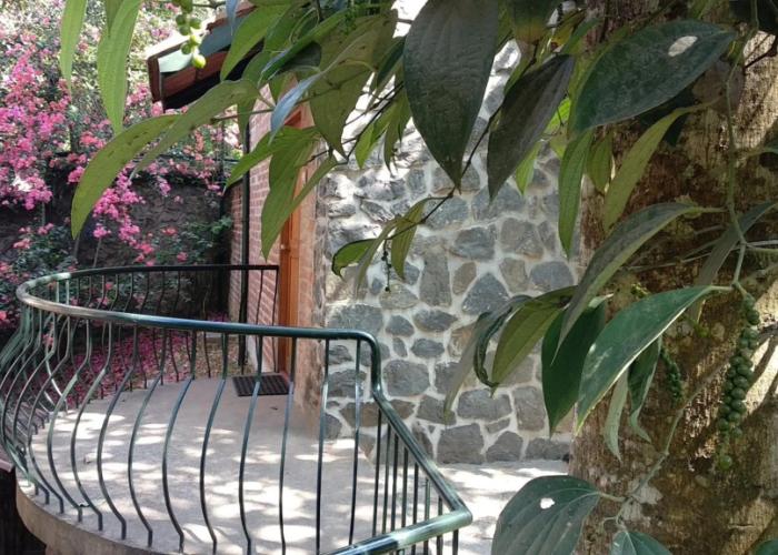 Hotel Wildernest