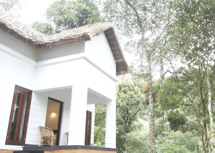 Niraamaya Retreats Cardamom Club