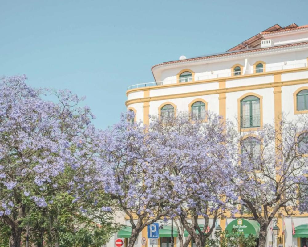 Loule Jardim Hotel