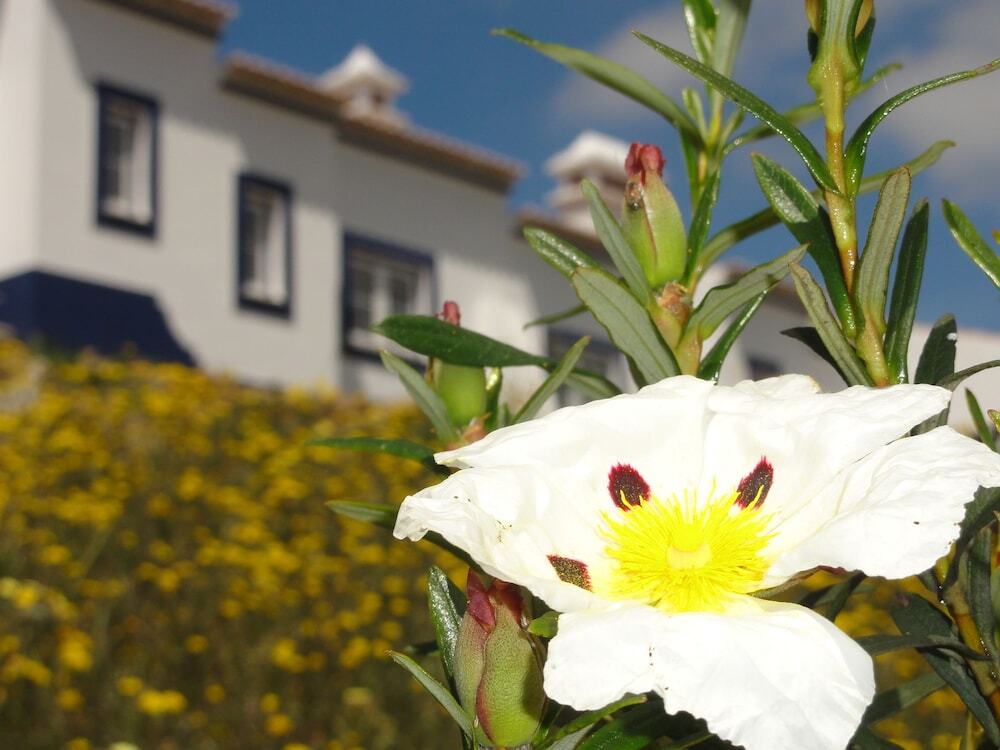 Monte do Alento - Castro da Cola