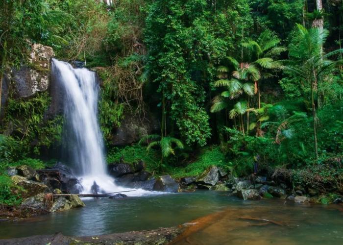 Pethers Rainforest Retreat
