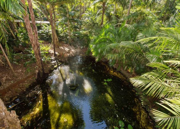 Pethers Rainforest Retreat