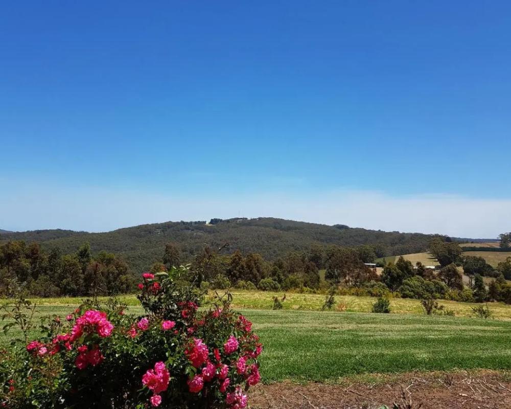 фото Karri Aura