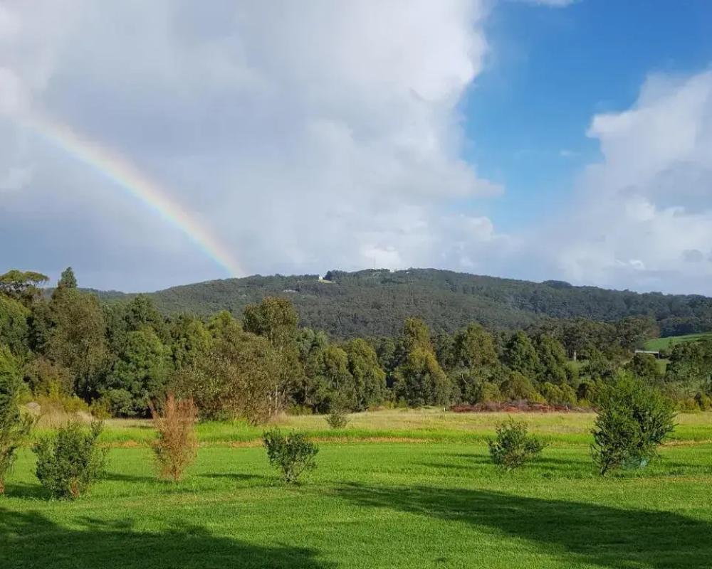 фото Karri Aura
