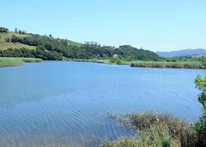 Finca El Mazo