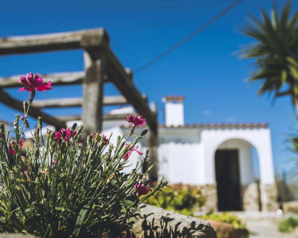 фото El Rancho