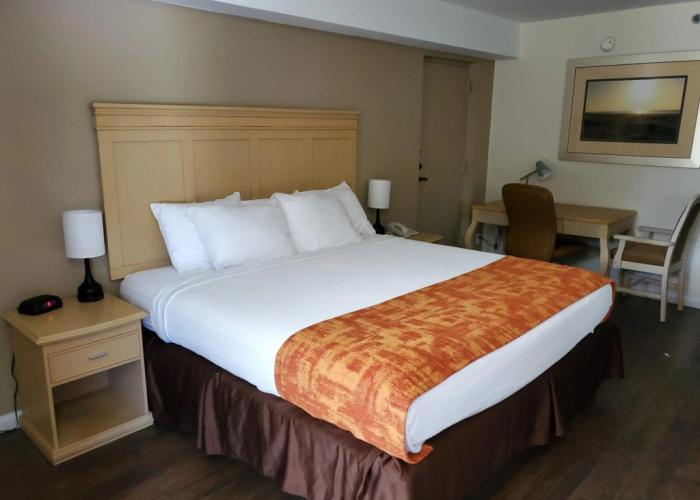 THE PARAGON of Golden Isles