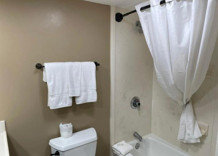 THE PARAGON of Golden Isles