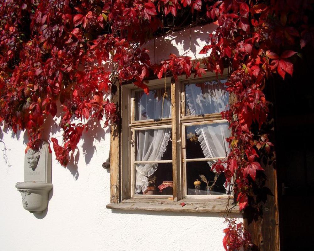 Landgasthof Rössle - Beim Kräuterwirt