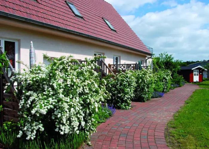 Studio in Buchholz am Mueritzsee