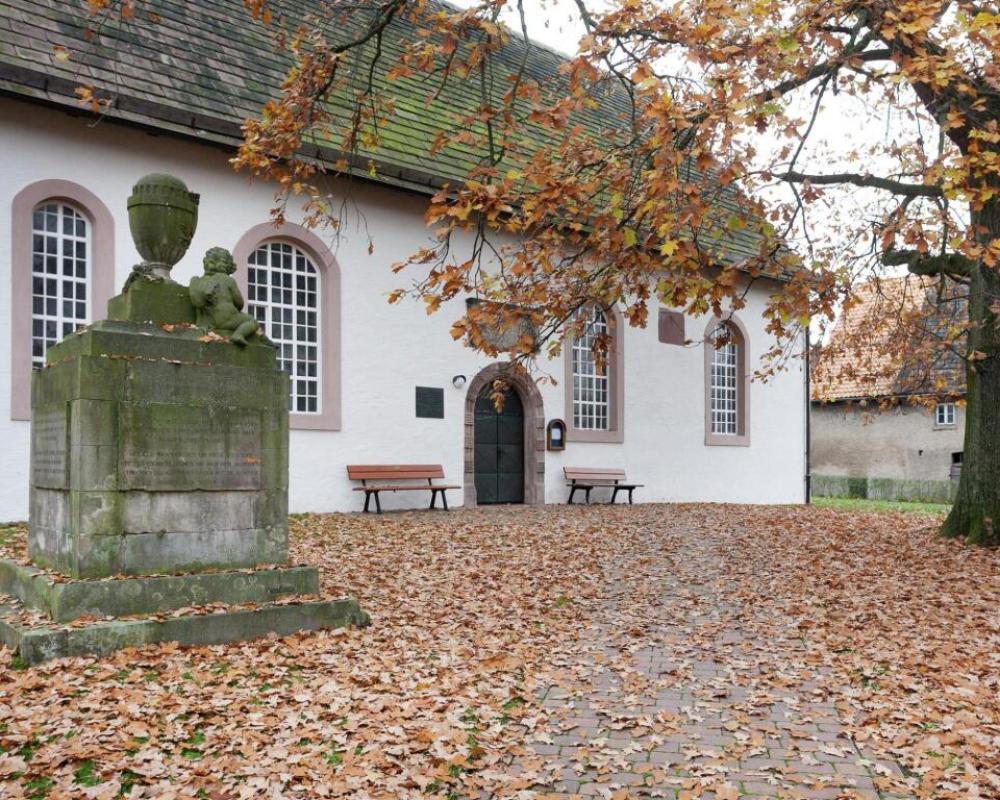 Flat in Polle Near the Forest