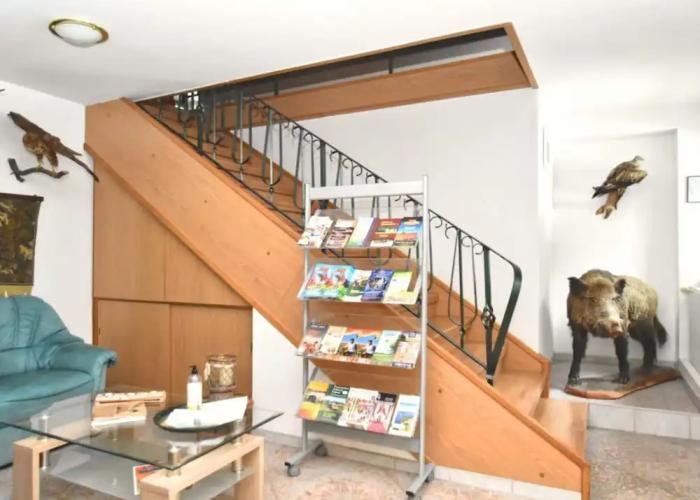 Apartment in Saxony With Communal Pool