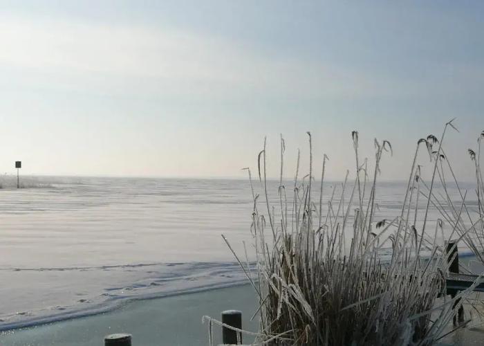 Cheerful Apartment in Wilhelmshof Usedom near Baltic Sea