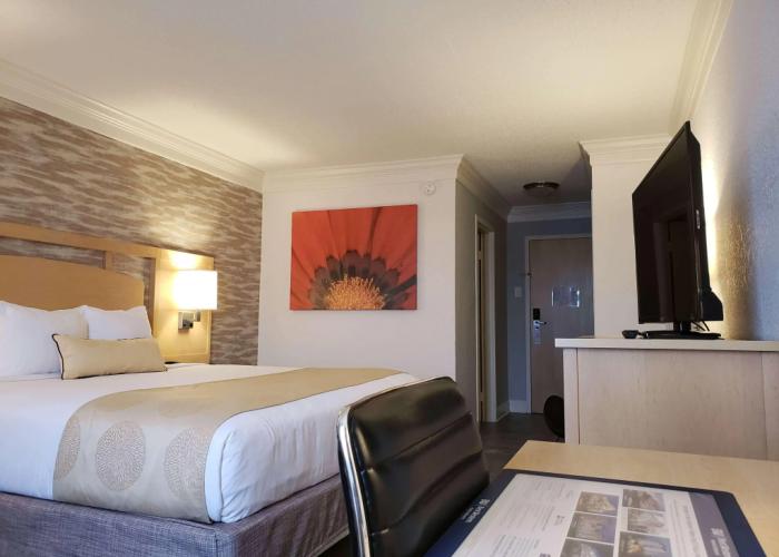 Best Western Plus University Inn