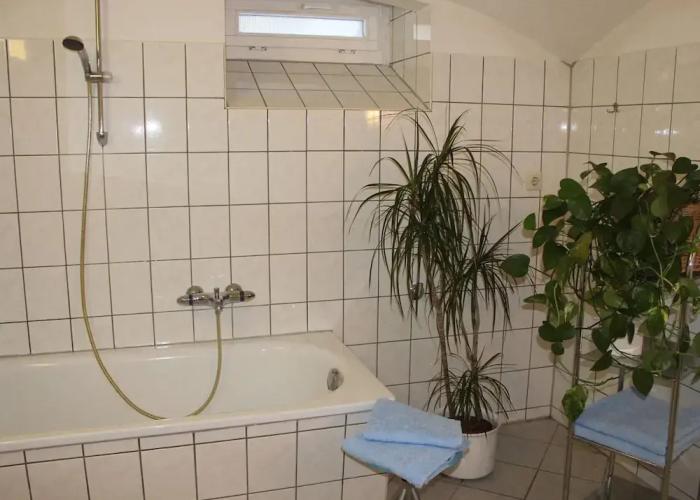 Apartment in Weibig With Garden