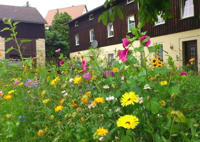 Modern Apartment in Weissig Saxony With Garden