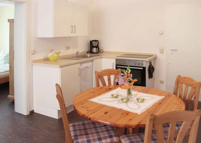 Modern Apartment in Weissig Saxony With Garden