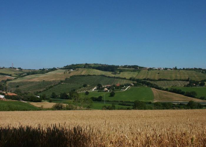 A3Passi Agriturismo tra gli Ulivi