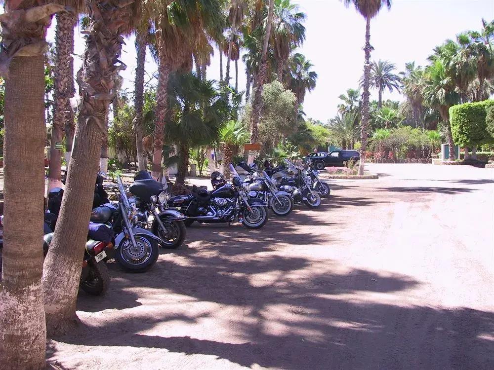 фото Hotel Oasis