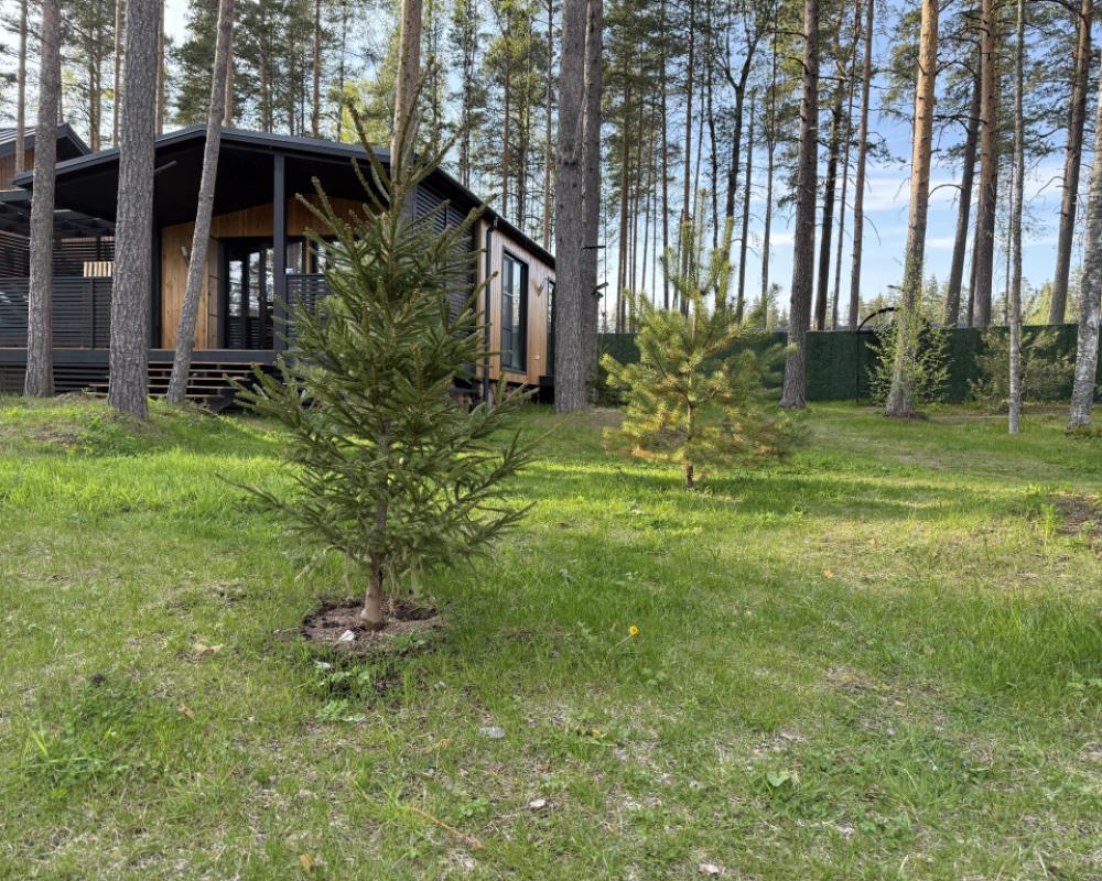 Pala Suomi Guest House